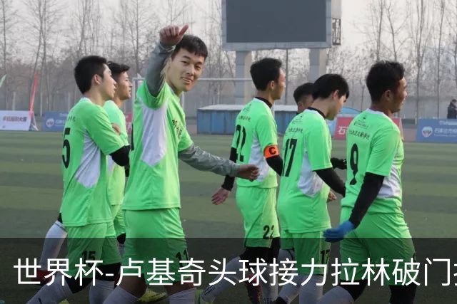 世界杯-卢基奇头球接力拉林破门扳平 加拿大1-1波黑